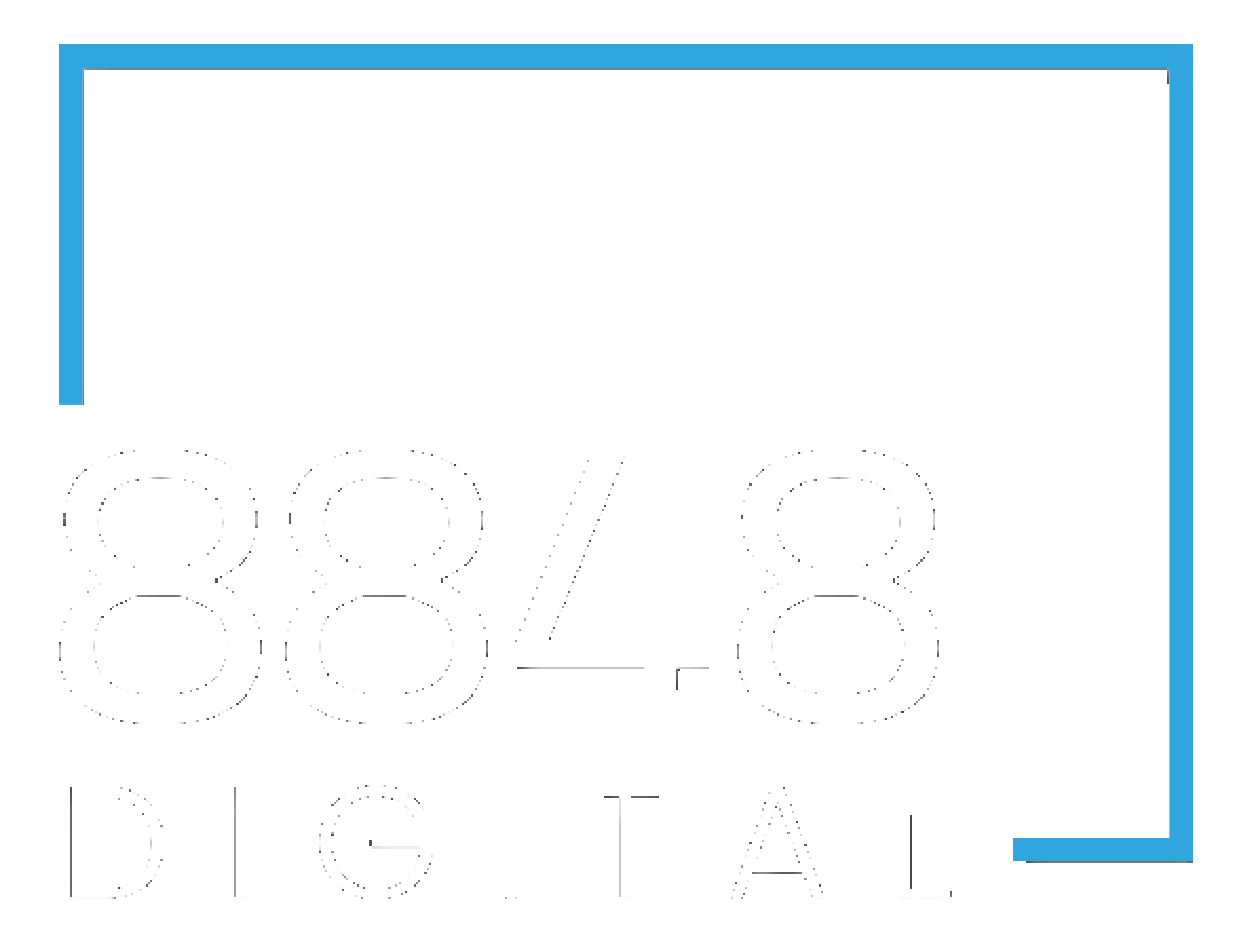 8848 Digital LLP